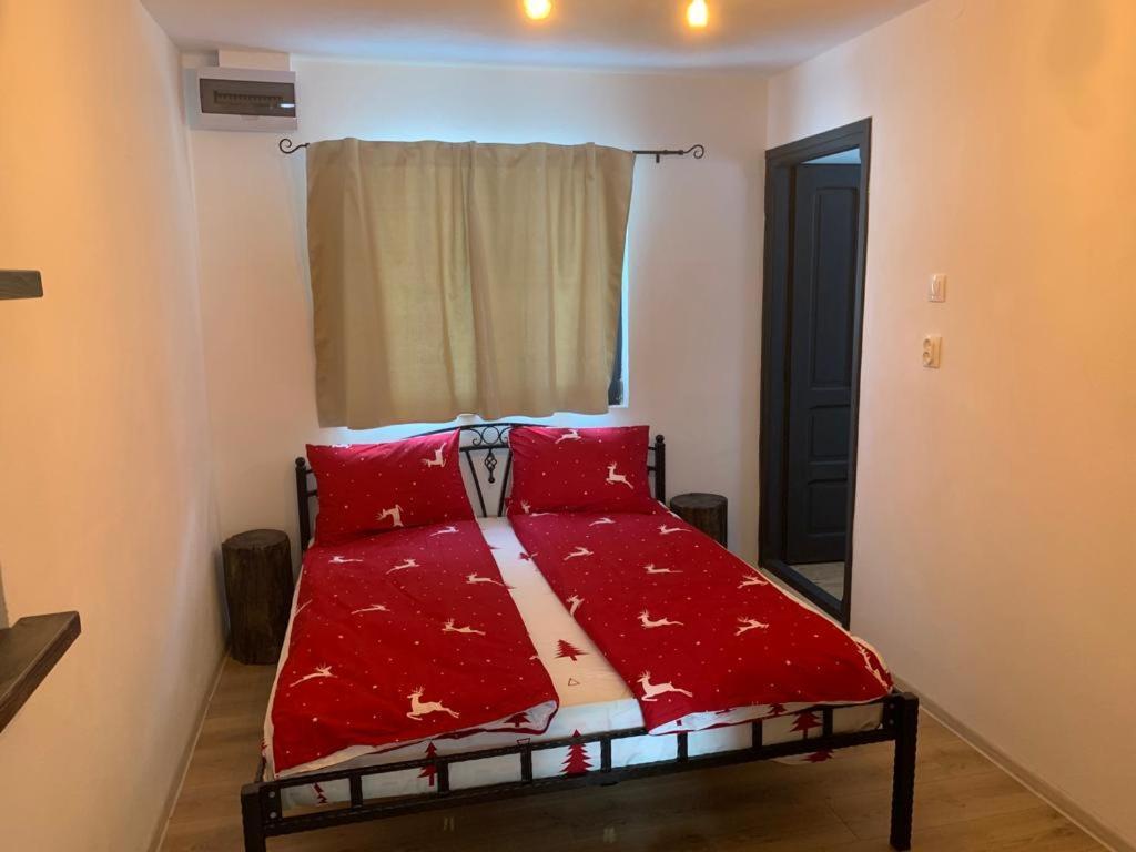 Holiday Nature House Izvoare  Dış mekan fotoğraf